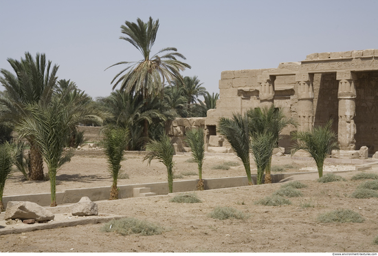 Egypt Dendera Landspace