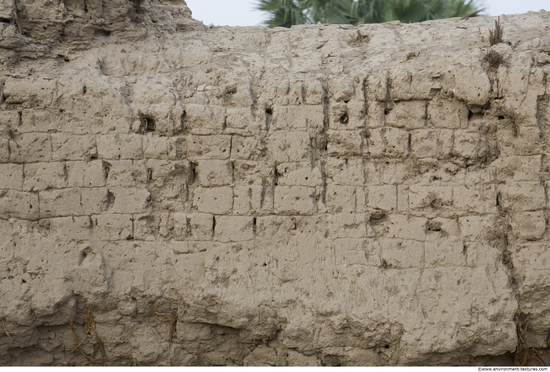 Wall Bricks Plastered