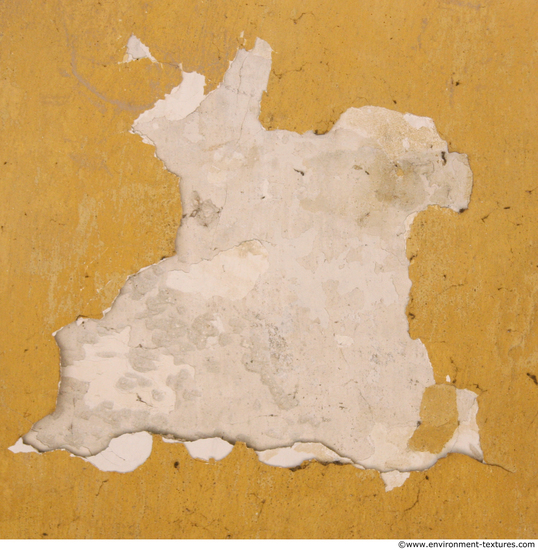 Wall Plaster Paint Peeling