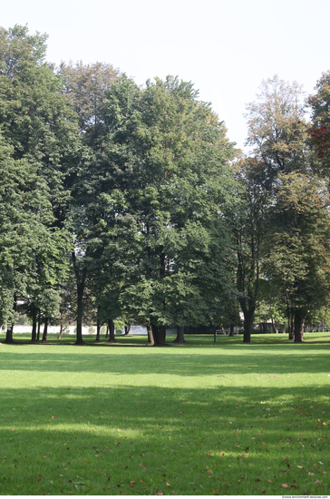 Background Gardens