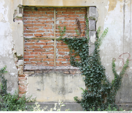 Derelict Windows