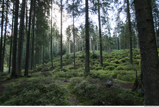 Background Forests