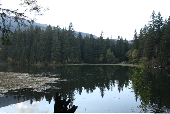 Background Forests