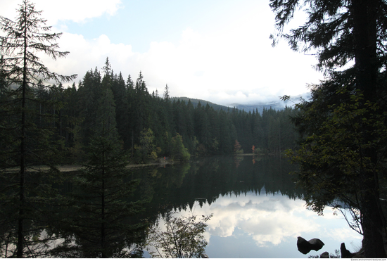 Background Forests