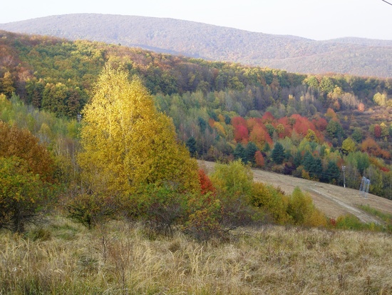 Natures Autumn