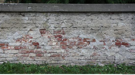 Wall Bricks Plastered