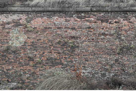 Wall Bricks Overgrown