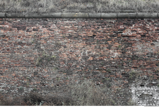 Wall Bricks Overgrown