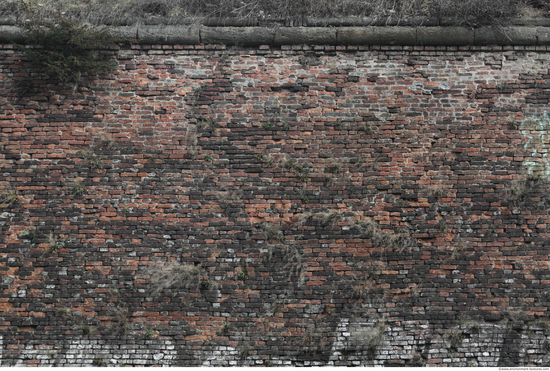 Wall Bricks Overgrown