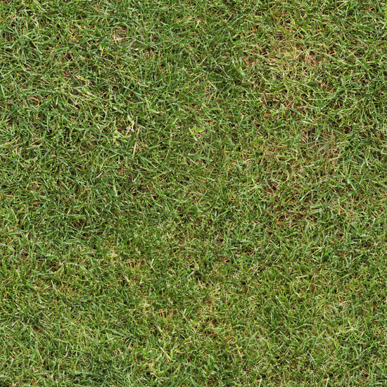 Seamless Grass