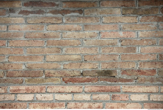 Wall Bricks Old