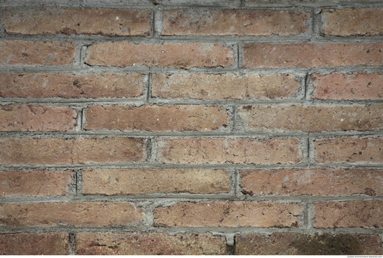 Wall Bricks Old