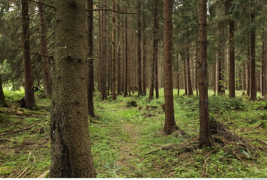 Background Forests