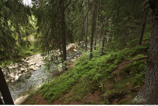 Background Forests