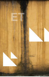 Wall Plaster Leaking