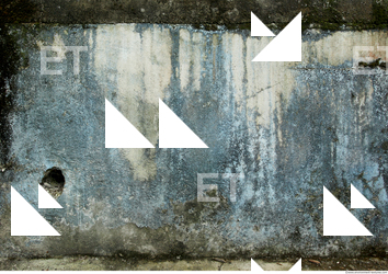 Wall Plaster Leaking