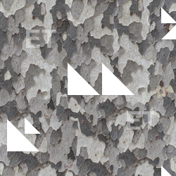 Seamless Tree Bark