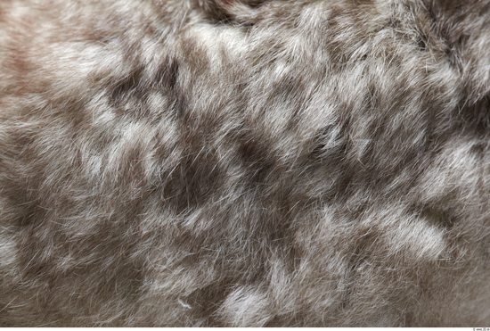 Fur