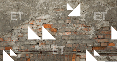 Wall Bricks Old