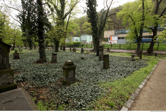 Background Gardens