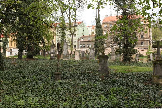 Background Gardens