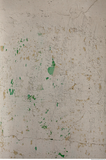 Wall Plaster Paint Peeling