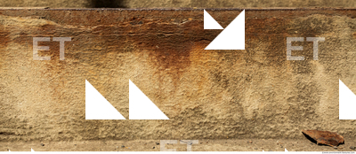 Wall Plaster Leaking