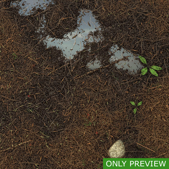 PBR substance material of forest ground wet created in substance designer for graphic designers and game developers