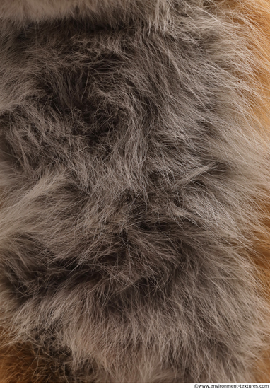 Fur