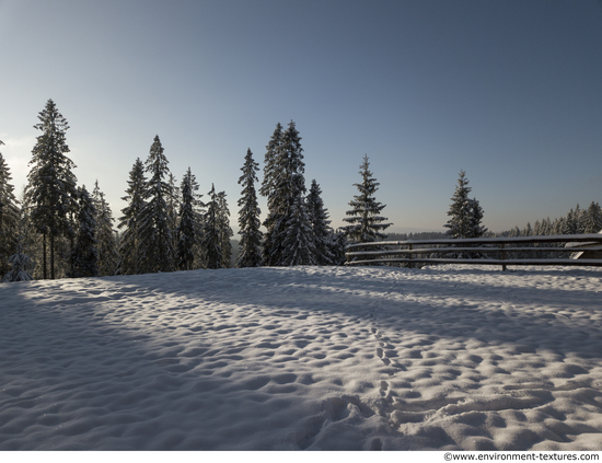 Background Forests