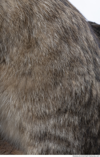 Fur