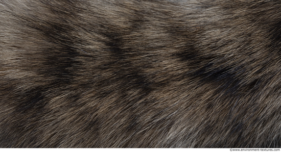 Fur