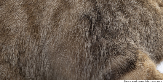 Fur