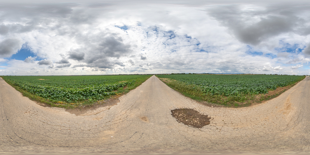 panorama  HDRi background dirt road