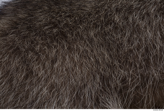 Fur