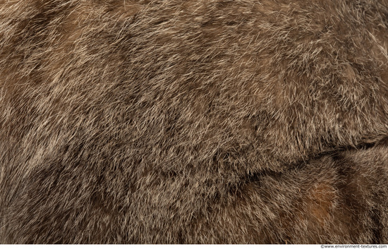 Fur