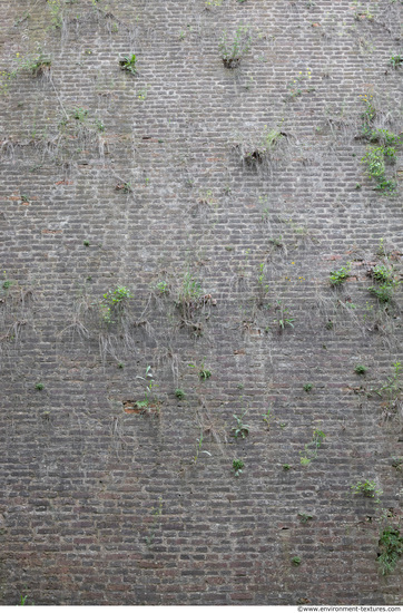 Wall Bricks Old