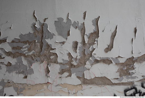 Wall Plaster Paint Peeling