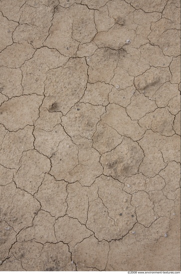 Cracked Soil