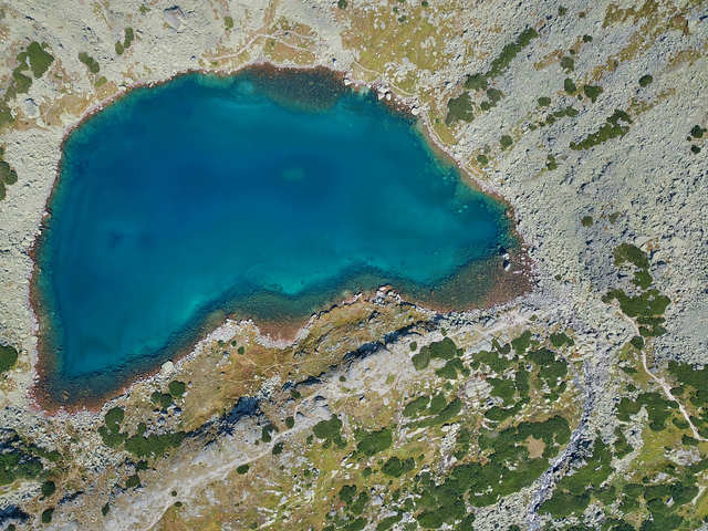 Lake from Above