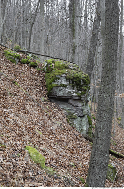 Cliffs Overgrown Rock