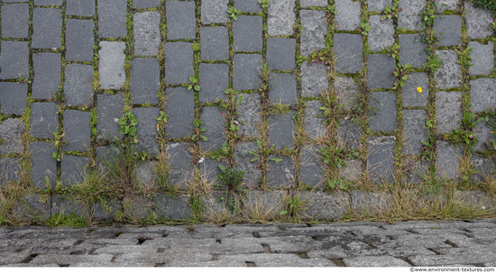 tile floor stones overgrown