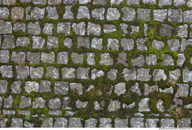 tile floor stones overgrown