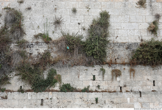 Overgrown Walls Stones