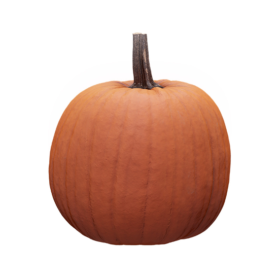 Cleaned Pumpkin 3D Scan