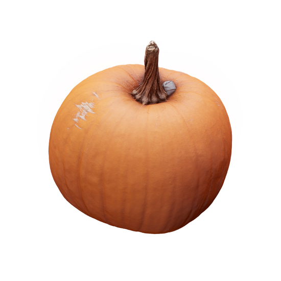 Cleaned Pumpkin 3D Scan