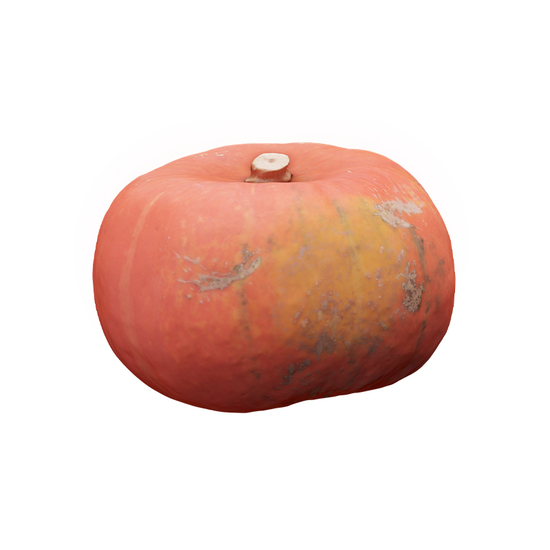 Cleaned Pumpkin Hokaido 3D Scan