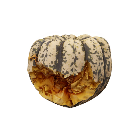 Cleaned Pumpkin Crashed 3D Scan