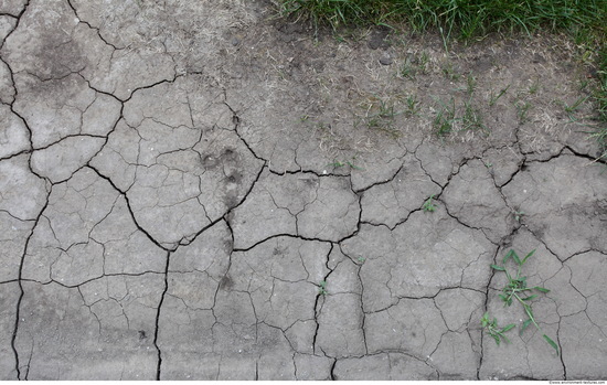 Cracked Soil