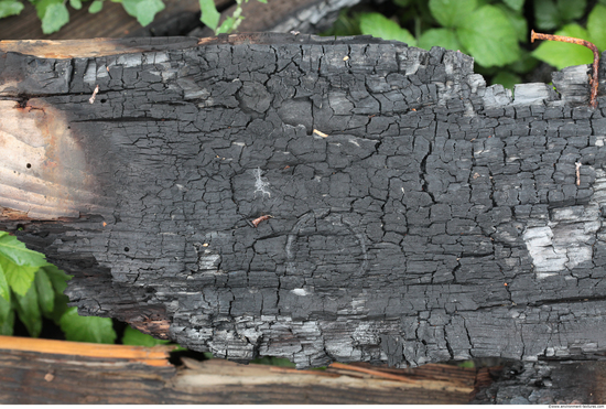 Burned Wood